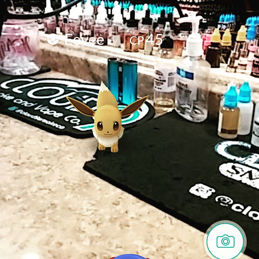 Vaporizer Store «Cloud 9 Smoke Co», reviews and photos, 180 Riverstone Pkwy #100, Canton, GA 30114, USA