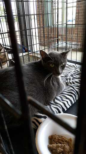 Pet Supply Store «Pet Supplies Plus», reviews and photos, 9 Waukegan Rd, Deerfield, IL 60015, USA