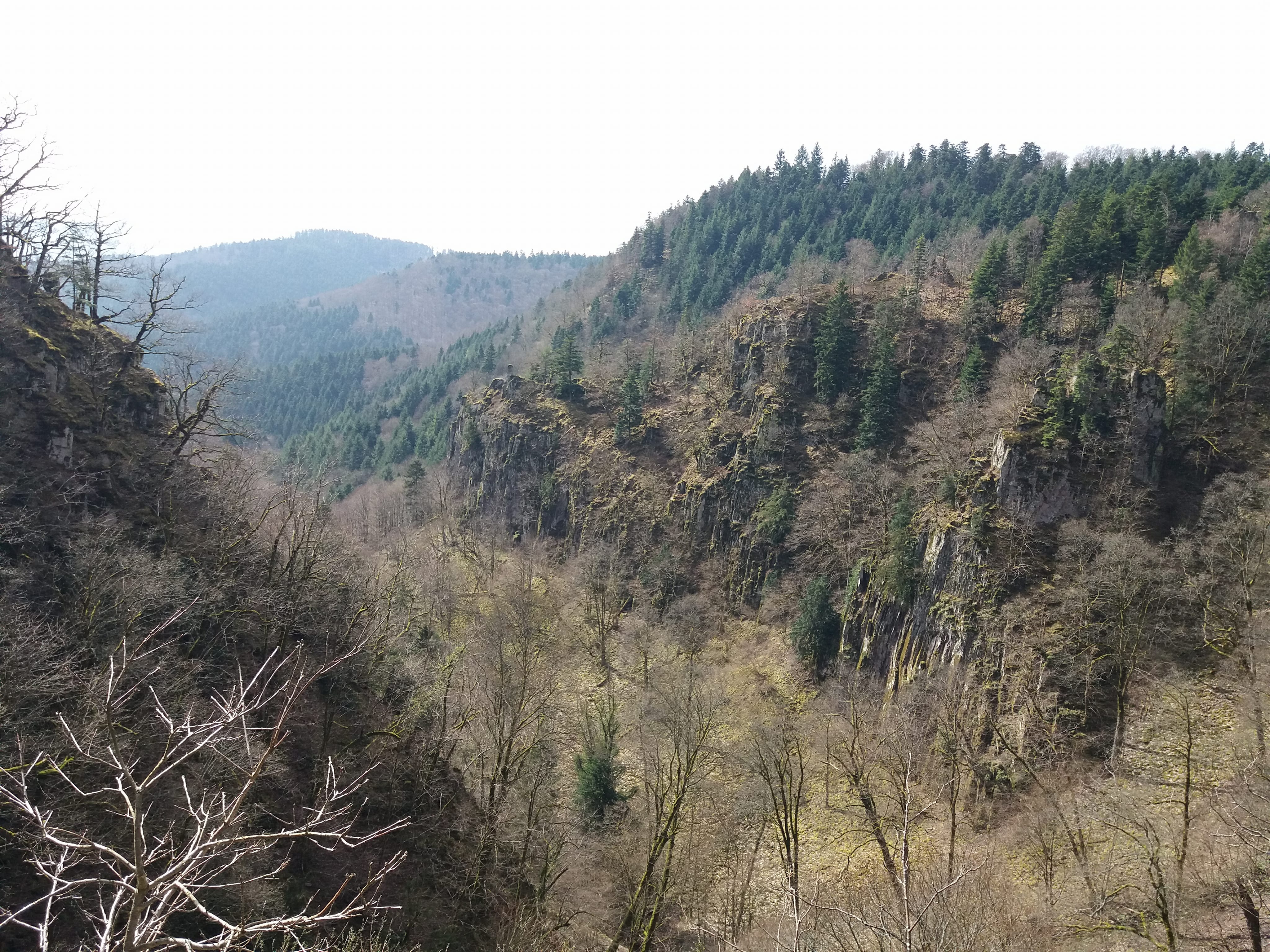 Photo n° 16 de l'avis de yann.a fait le 12/04/2018 à 05:08