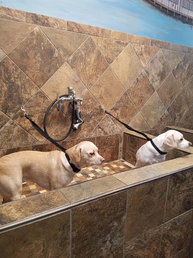 Pet Store «Pet Valu», reviews and photos, 1422 North Point Village Center, Reston, VA 20194, USA