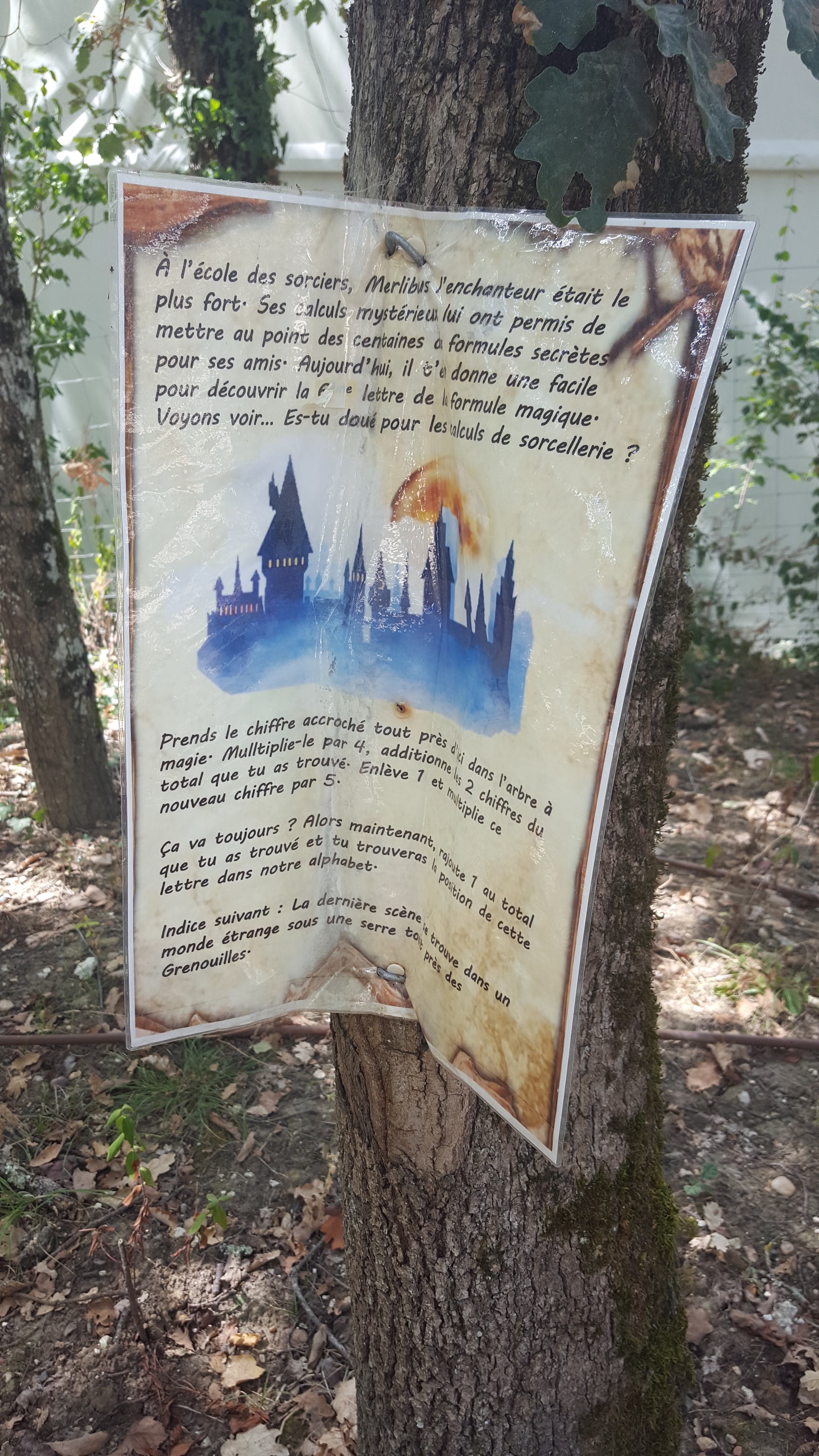 Photo n° 6 de l'avis de Ma.a fait le 21/08/2020 à 21:41