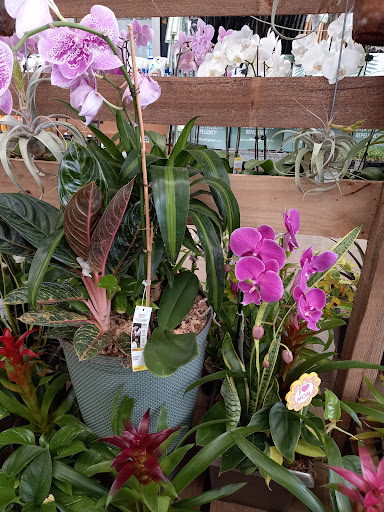 Home Improvement Store «The Home Depot», reviews and photos, 3730 Sun City Center Blvd, Ruskin, FL 33573, USA