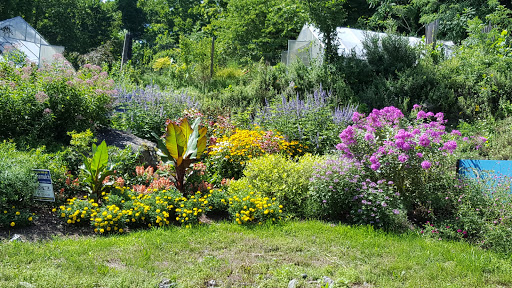 Garden Center «Victoria Gardens», reviews and photos, 1 Cottekill Rd, Rosendale, NY 12472, USA