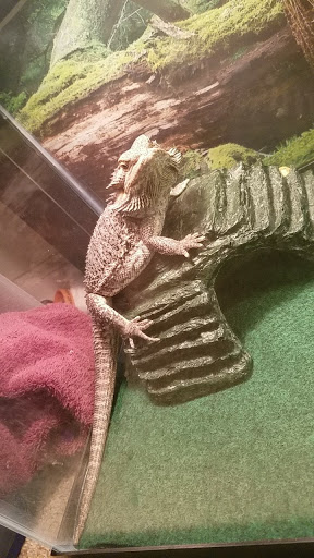 Pet Store «Boiling Springs Pet World», reviews and photos, 2651 Boiling Springs Rd, Spartanburg, SC 29316, USA