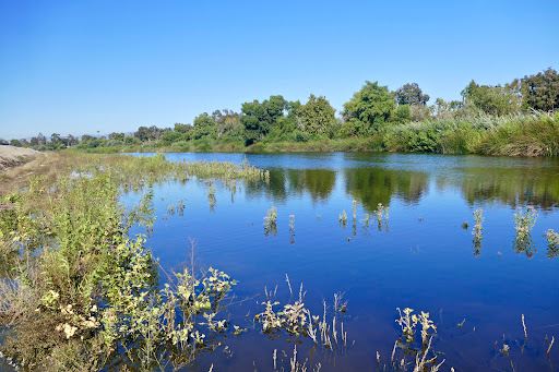 IRWD San Joaquin Marsh & Wildlife Sanctuary