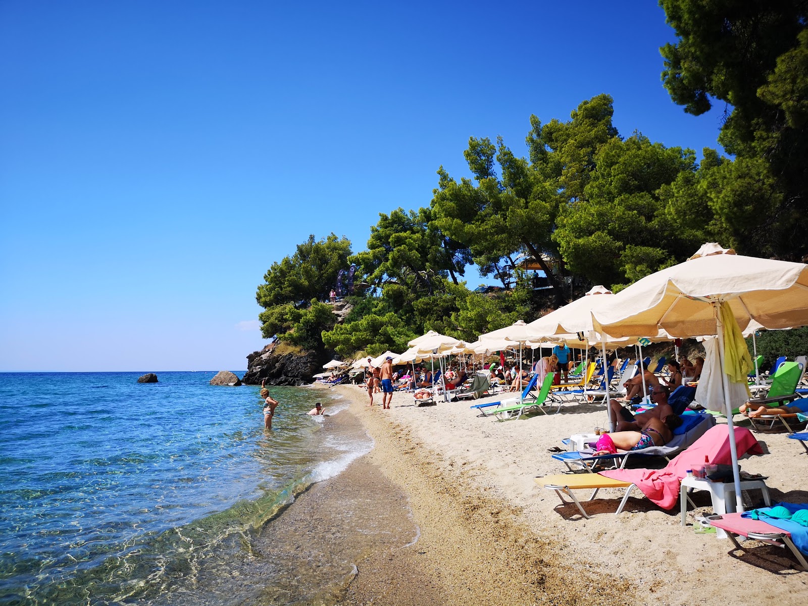 Zdjęcie Nikitis beach z poziomem czystości dość czysty