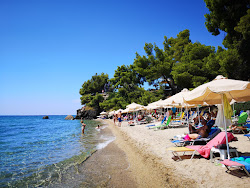 Zdjęcie Nikitis beach z poziomem czystości dość czysty