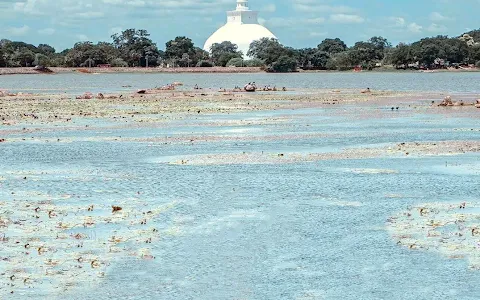 Basawakkulama Tank image