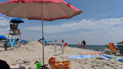 Rogers Beach photo #6