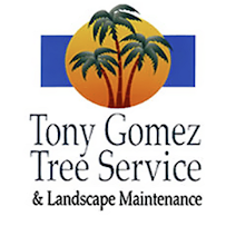 Tony Gomez Tree Service - Photo 9 - Car repair in El Cajon, CA, San Diego