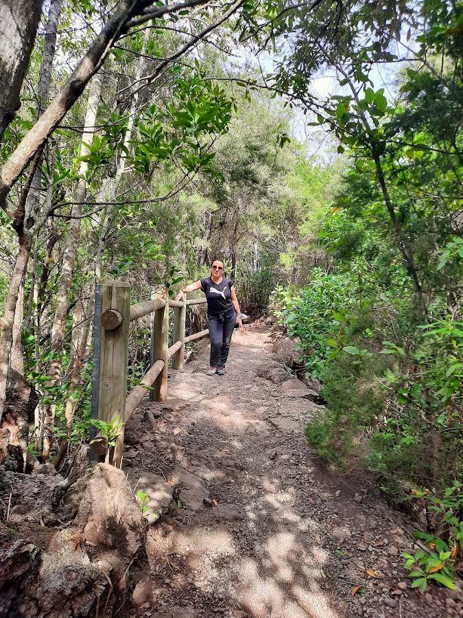 Nacientes de Marcos y Cordero