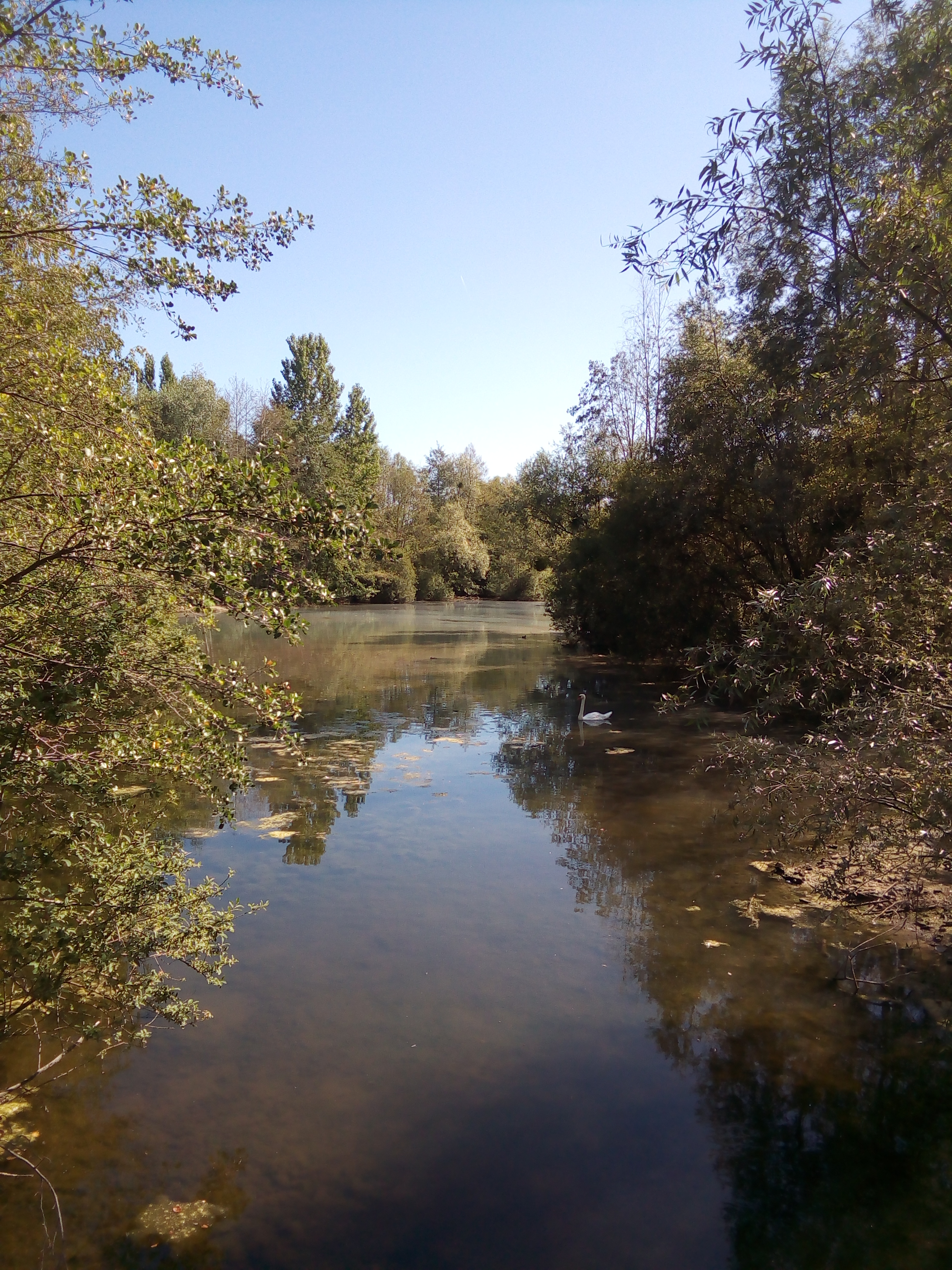 Photo n° 10 de l'avis de Angy.u fait le 30/08/2019 à 15:26