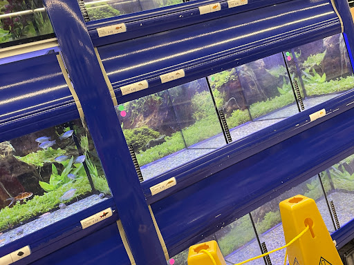 Grocery Store «Meijer», reviews and photos, 3825 Carpenter Rd, Ypsilanti, MI 48197, USA