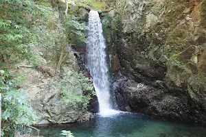 Tsuzumigataki Waterfall image
