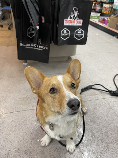 Pet Supply Store «NYC Pet», reviews and photos, 317 Knickerbocker Ave, Brooklyn, NY 11237, USA