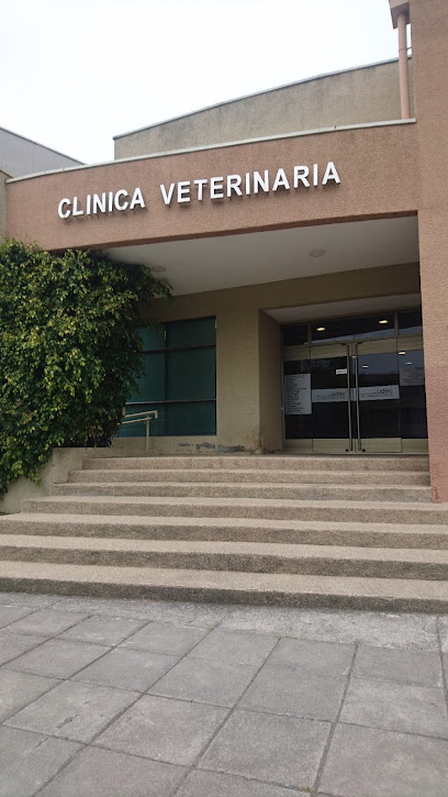 Clinica Veterinaria UdeC