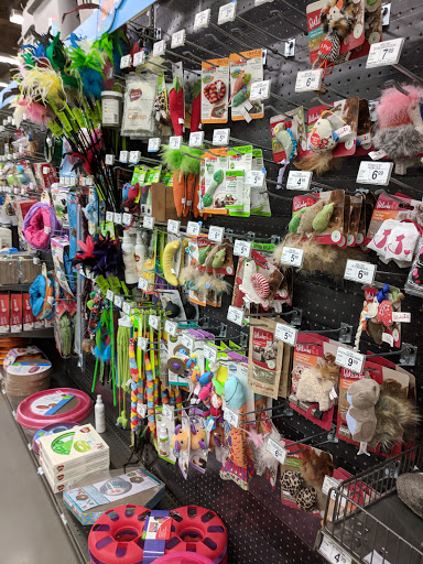 Pet Supply Store «Petco Animal Supplies», reviews and photos, 3000 Gateway St #220, Springfield, OR 97477, USA
