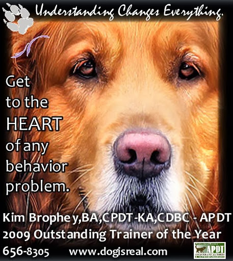 Dog Trainer «Dog Door Behavior Center and Outfitters», reviews and photos, 1 Battle Square A, Asheville, NC 28801, USA