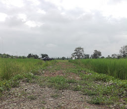 อุดมสาร photo