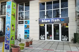 BlueFish Aquariums & Pets - Ενυδρεία και είδη Pet Shop στη Θεσσαλονίκη image