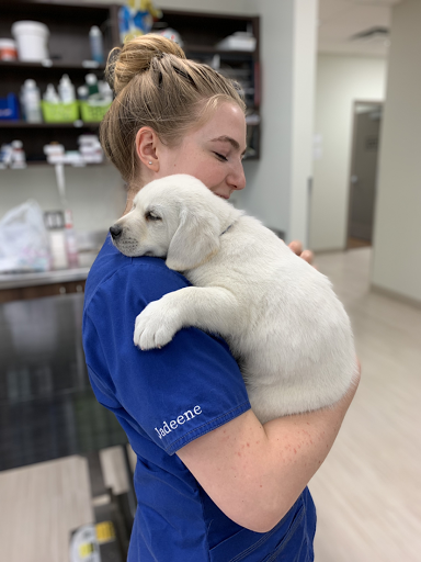 Barr-North Veterinary Services Ltd image