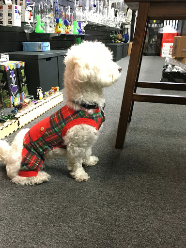 Tobacco Shop «Up In Smoke (Bong Shop)», reviews and photos, 1466 E Foothill Blvd, Upland, CA 91786, USA