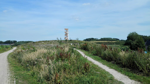 Hoge Bergse Bos