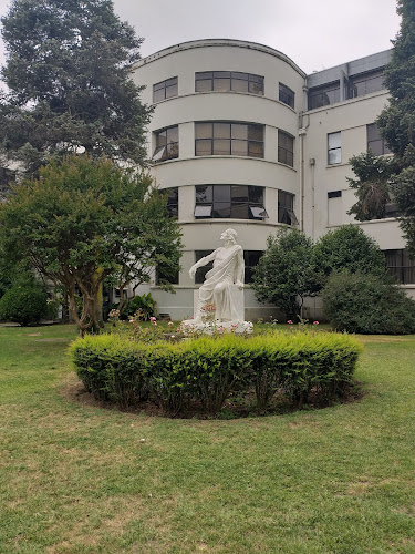 Museo de Anatomía UdeC - Museo