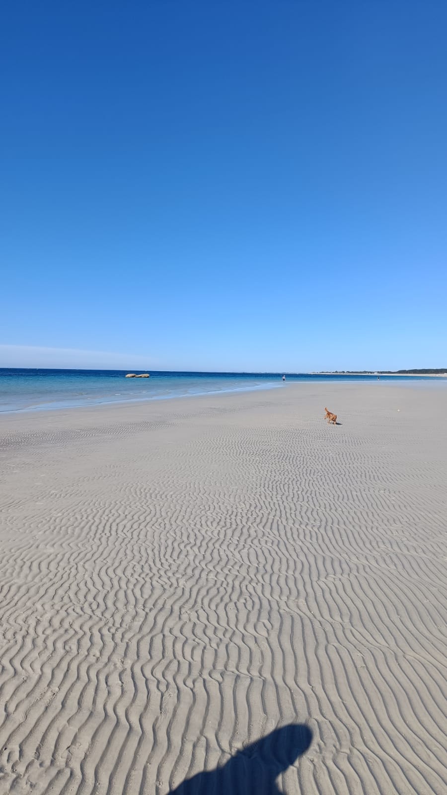 Photo n° 1 de l'avis de Brieuc.o fait le 13/08/2022 à 10:12