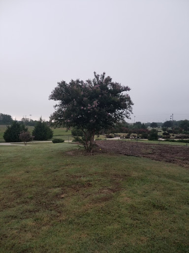 Park «The Crape Myrtle Trails of McKinney», reviews and photos, 6452 Collin McKinney Pkwy, McKinney, TX 75070, USA