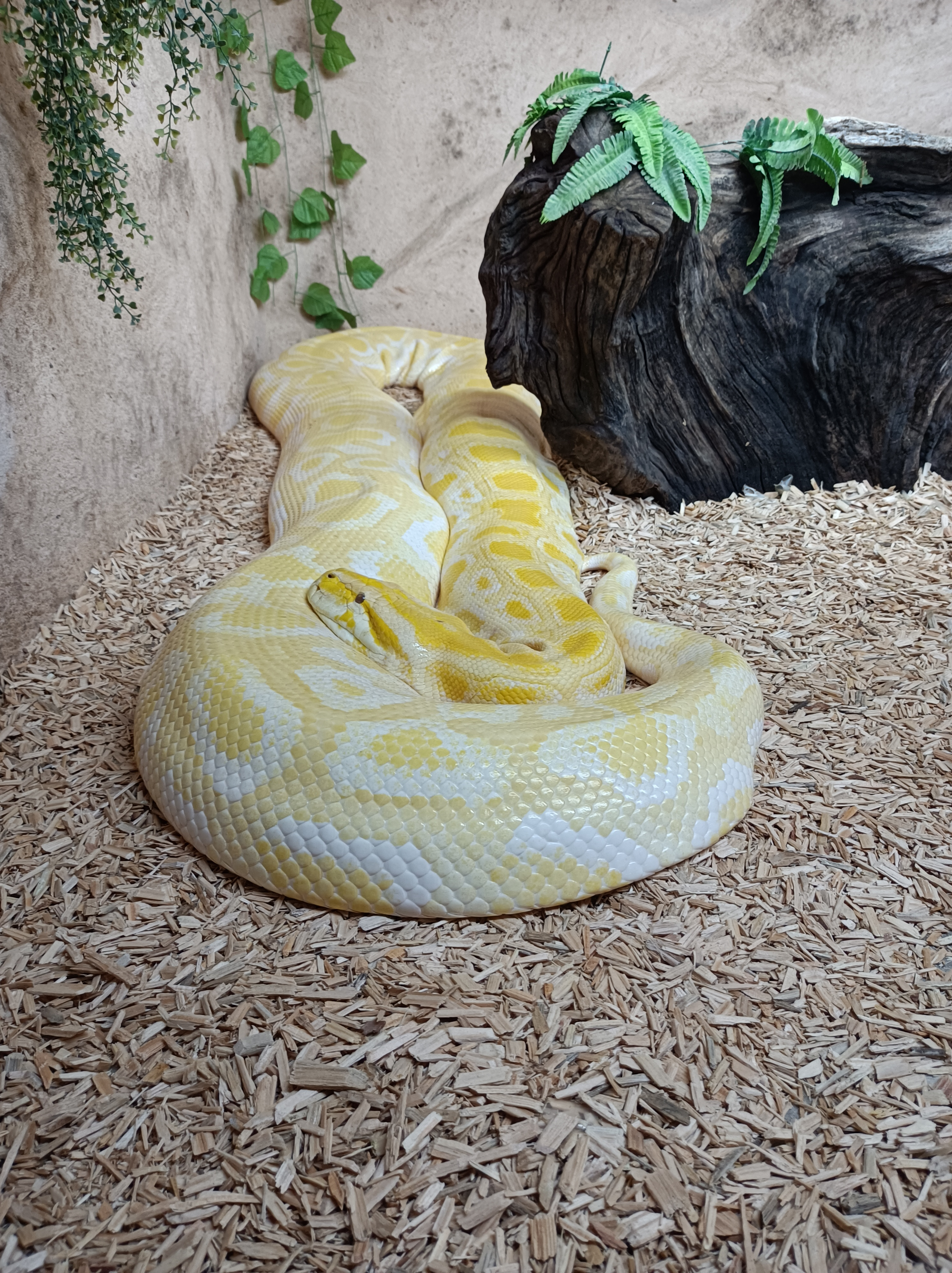 Photo n° 1 de l'avis de Anne.a fait le 02/11/2023 à 17:28