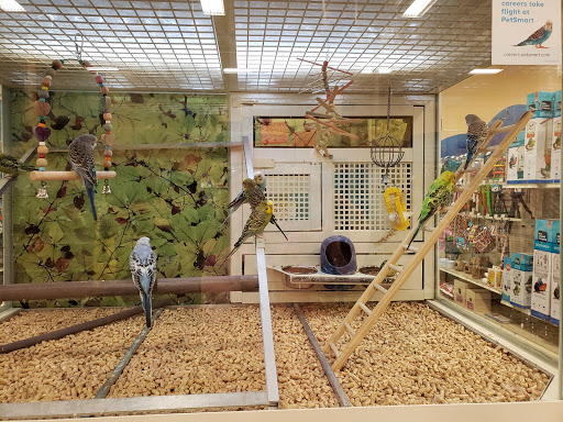 Pet Supply Store «PetSmart», reviews and photos, 315 Gellert Blvd, Daly City, CA 94015, USA