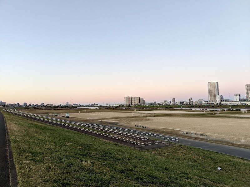 江戸川区河川公園 篠崎緑地10号