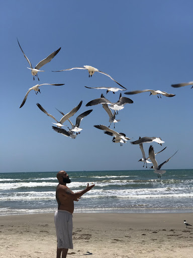 Golf Club «Palmilla Beach Golf Club», reviews and photos, 258 Snapdragon, Port Aransas, TX 78373, USA