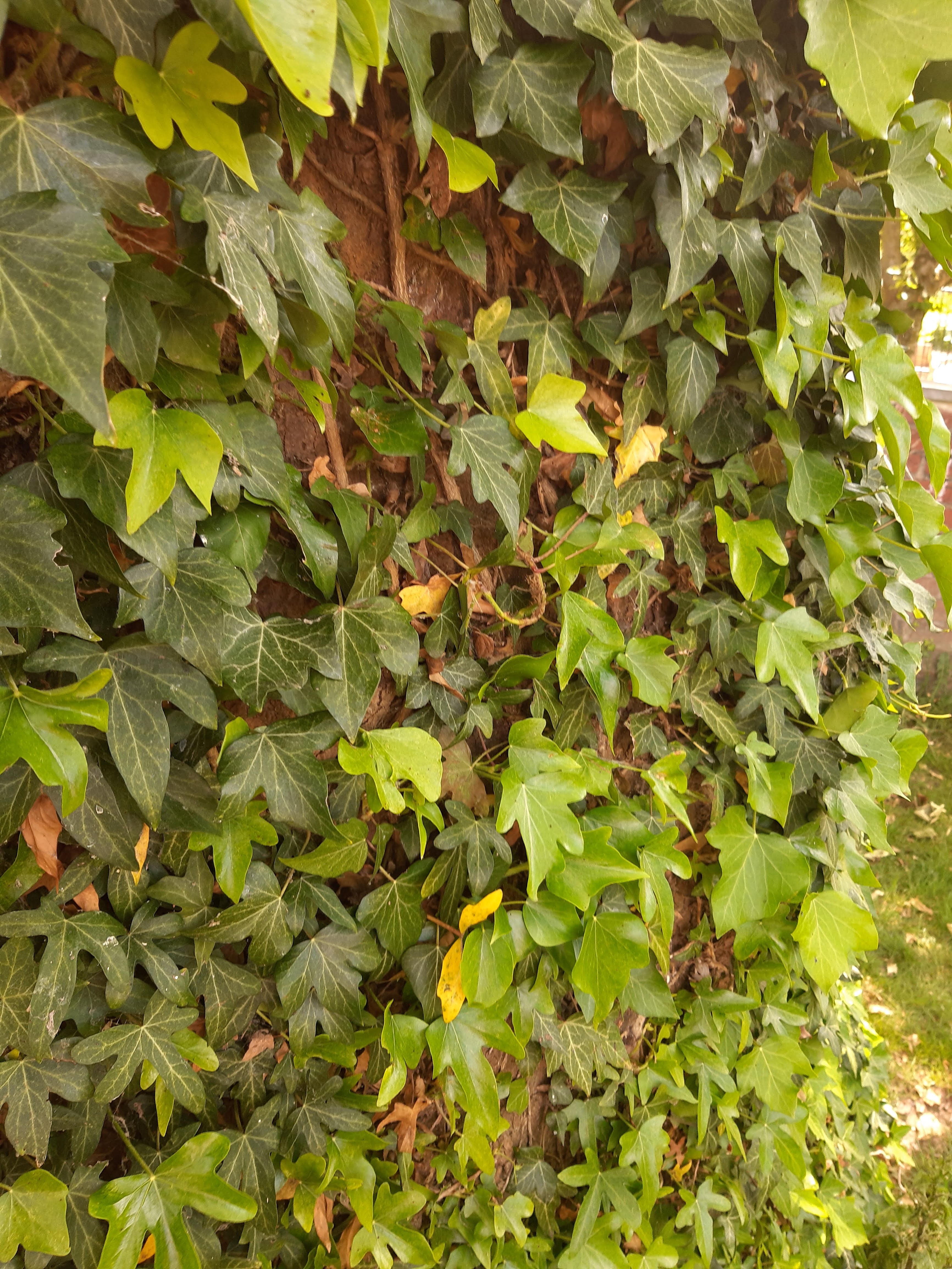 Photo n° 5 de l'avis de ka.i fait le 14/06/2019 à 13:23