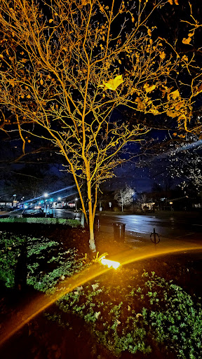 Coffee Shop «Starbucks», reviews and photos, 2450 E Main St, Bexley, OH 43209, USA