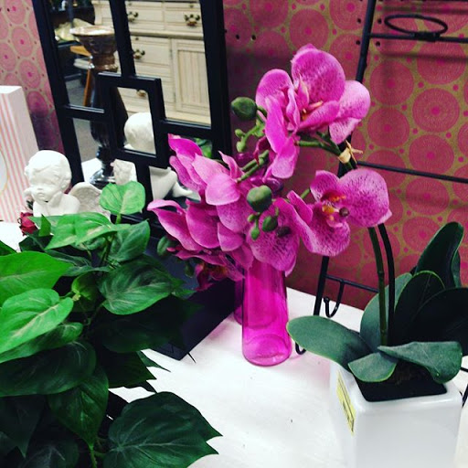 Discount Store «New Uses Reynoldsburg», reviews and photos, 2087 OH-256, Reynoldsburg, OH 43068, USA