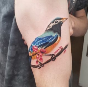 Tattoo Shop «Gulf Coast Professional Tattoo», reviews and photos, 10442 Front Beach Rd, Panama City Beach, FL 32407, USA