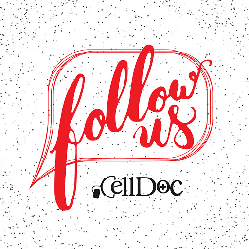 Phone Repair Service «Cell Doc - Woodbridge Center Phone Repair», reviews and photos, 250 Woodbridge Center Dr, Woodbridge, NJ 07095, USA