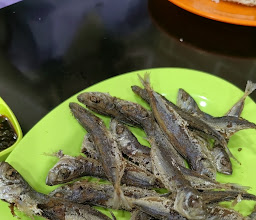 Pecel Lele Bu Ani photo
