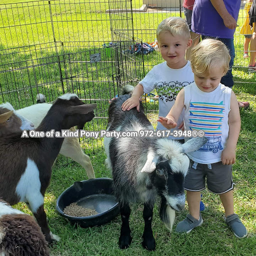 Zoo «A One of A Kind Pony Party», reviews and photos, 912 Bells Chapel Cir, Waxahachie, TX 75165, USA