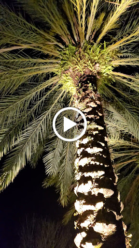 Native American Restaurant «Ulele», reviews and photos, 1810 N Highland Ave, Tampa, FL 33602, USA