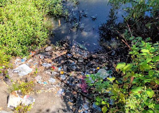 Park «Tukwila Pond Park», reviews and photos, 299 Strander Blvd, Tukwila, WA 98188, USA