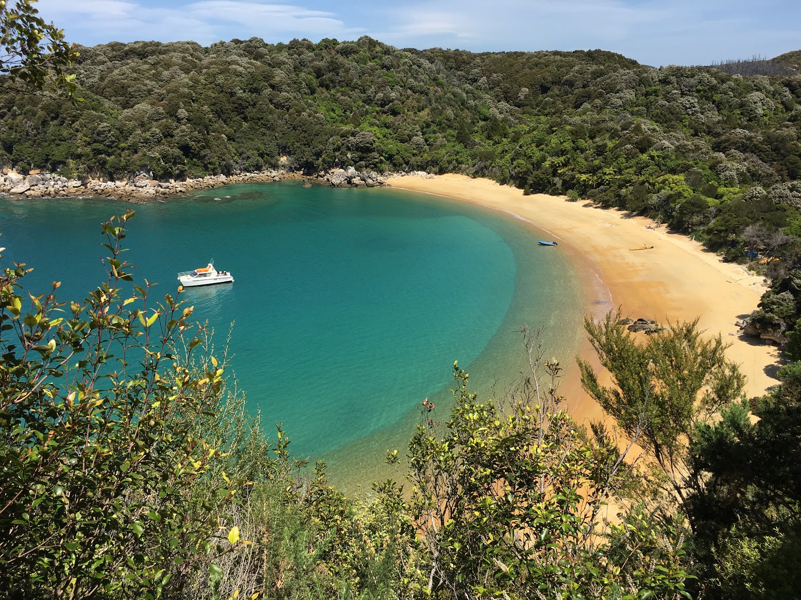 Foto van Te Pukatea Beach gelegen in een natuurlijk gebied