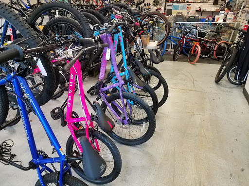 Bicycle Store «Bike Shop», reviews and photos, 13826 Braddock Rd, Centreville, VA 20121, USA