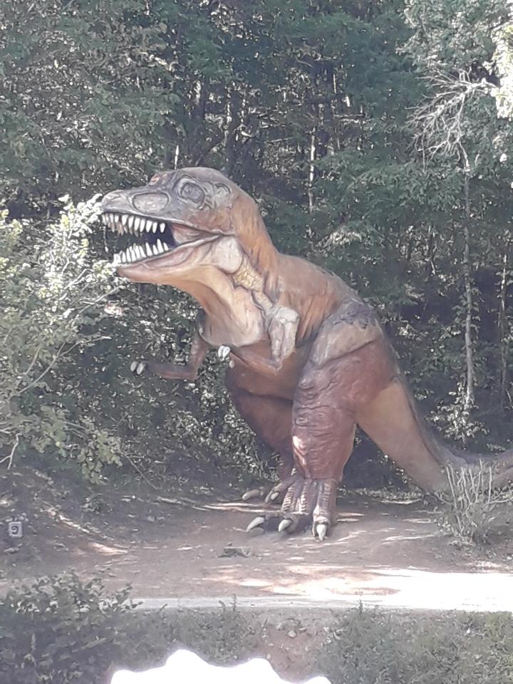 Photo n° 1 de l'avis de frere.a fait le 26/08/2019 à 06:11