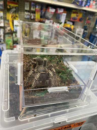 Pet Store «Jules Pet Shop», reviews and photos, 2214 N Milwaukee Ave, Chicago, IL 60647, USA