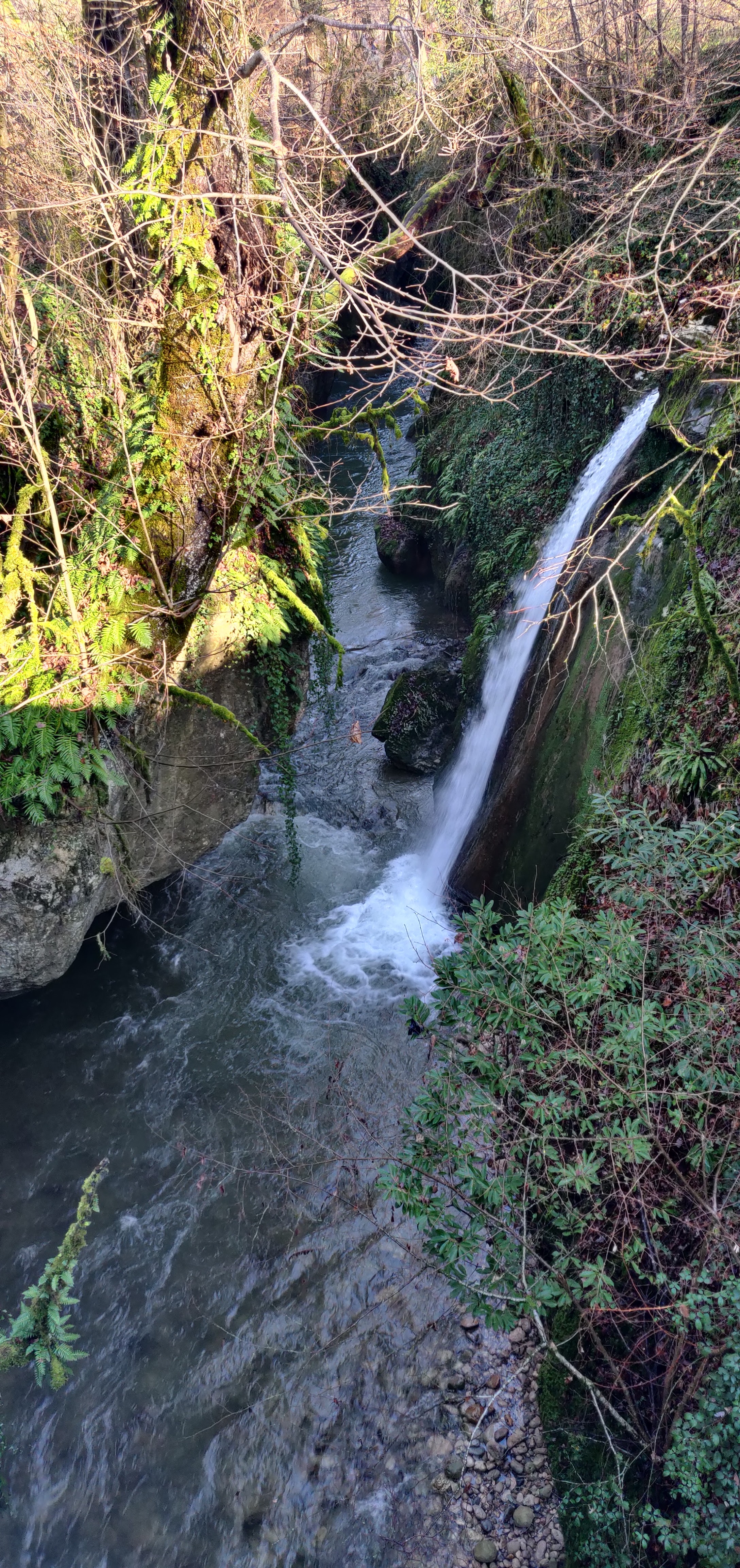 Photo n° 1 de l'avis de Julien.a fait le 02/01/2023 à 14:22