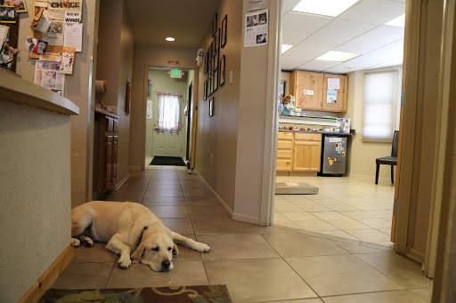 Mountainwood Pet Hospital image