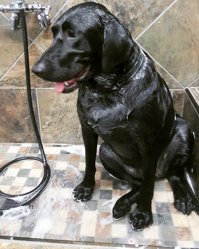 Pet Store «Pet Valu», reviews and photos, 2290 Central Park Ave, Yonkers, NY 10701, USA